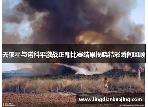 天狼星与诺科平激战正酣比赛结果揭晓精彩瞬间回顾